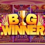 Download Big Winner Casino APK for Android Latest Version Download Big Winner Casino APK for Android Latest Version
