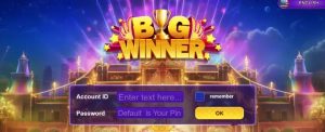 bigwinner pro